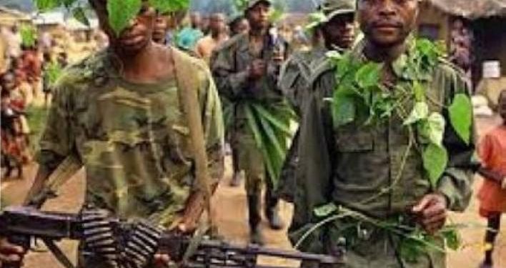 Sud-Kivu :  Deux groupes armés intercommunautaires s’affrontent à Kalehe