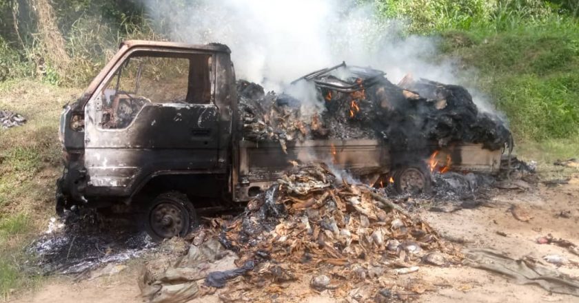 Beni : Une attaque des ADF fait 8 morts sur la route Beni-Kasindi