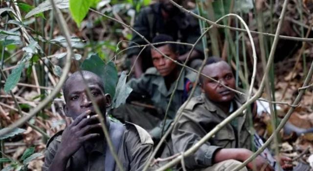 Nord-Kivu : une tentative de recrutement des ADF stoppée par l’armée à Beni