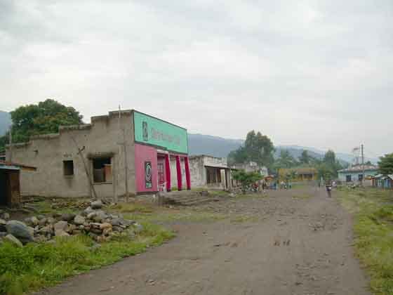 Beni : au moins 4 cultivateurs sont pris en otage par les rebelles présumés de l’ADF dans le Ruwenzori