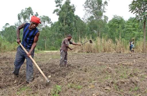 Rutshuru : « Des travaux forcés imposés aux agriculteurs par les miliciens le font abandonner leurs champs » (Société civile)