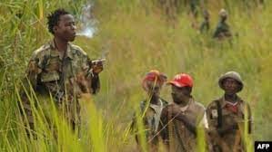 Ituri : une dizaine des miliciens CODECO neutralisés par les FARDC à Djugu