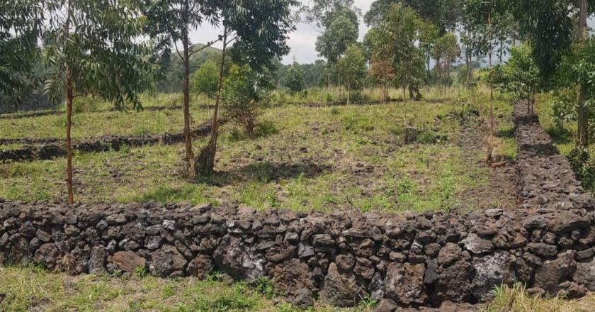 Nord-Kivu : des corps des civils tués par des présumés ADF découverts près de Bulongo
