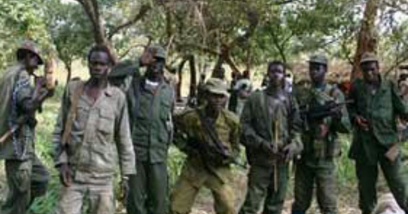 Ituri : une dizaine de civils tués par les ADF à Idohu