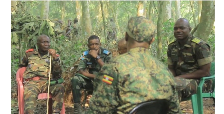 Opérations conjointes FARDC-UPDF: l’ADF planifie des actes de sabotages contre la population