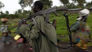 Insécurité à Beni : la CRDH déplore des attaques des civils près des positions des FARDC