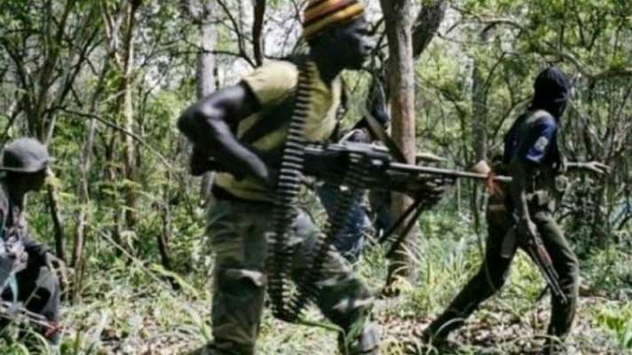 Nord-Kivu : une vingtaine d’ADF tués par l’armée à Makumo et Makusa