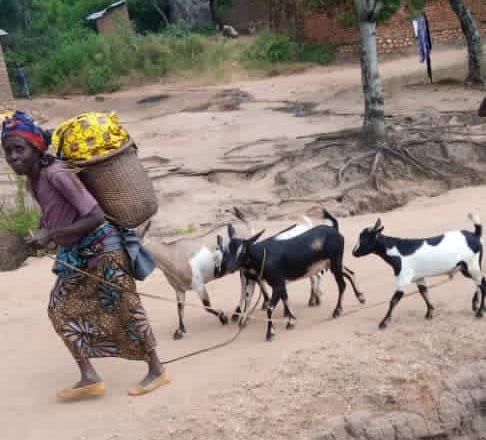 Uvira : “Des habitants des groupements Lemera et Kigoma regagnent leurs villages après les combats opposants les FARDC aux groupes armés” ( Société civile)