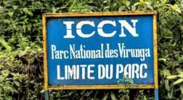 Beni : dévastation du PNVi à partir de Kasindi, un dialogue entre population et ICCN a été tenu