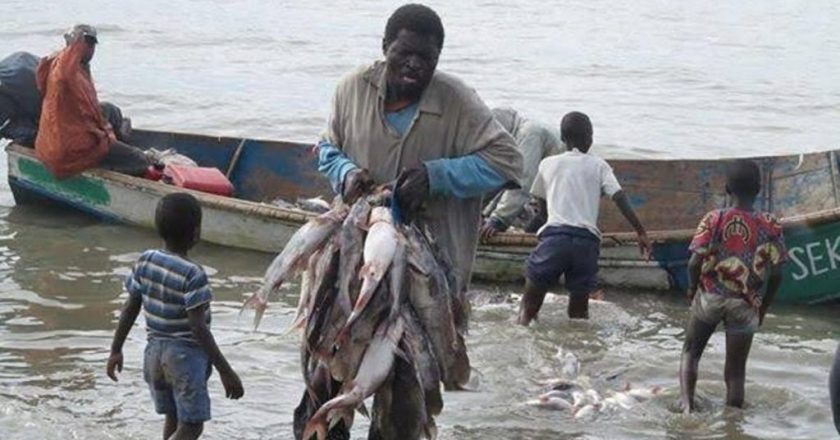 Rutshuru : un pêcheur meurt happé par un caïman sur les eaux du lac Édouard