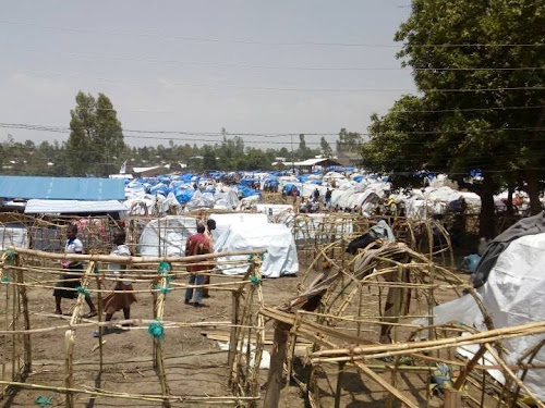 M23 au Nord-Kivu : un autre site de déplacés érigé à Bulengo à l’Ouest de Goma