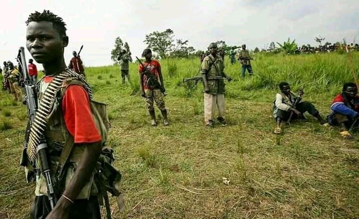 Beni : 5 combattants ADF se rendent à l’armée loyaliste dans des périphéries de Mamove