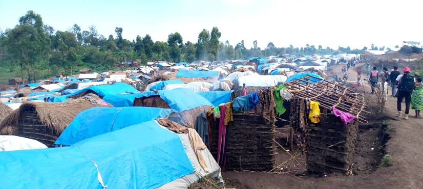 Irumu: “2 déplacés du site Tsere retrouvés morts” (Société civile)