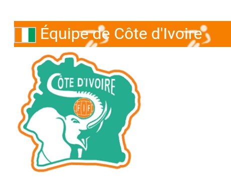 CAN 2023 : le groupe Ivoirien privé d’avance de ses quatre pièces maîtresses avant d’affronter les Léopards en demi-finale