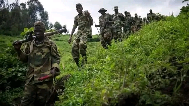 Ituri : nouvelle incursion des terroristes ADF à Ndimo, trois civils tués, des blessés et plusieurs autres portés disparus