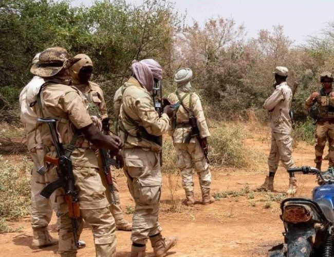 Niger : 43 terroristes neutralisés et 28 suspects et complices interpelés par les FDS entre le 09 et le 15 février (CICO)